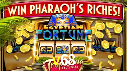 Cassino ao vivo com dealers reais na v68